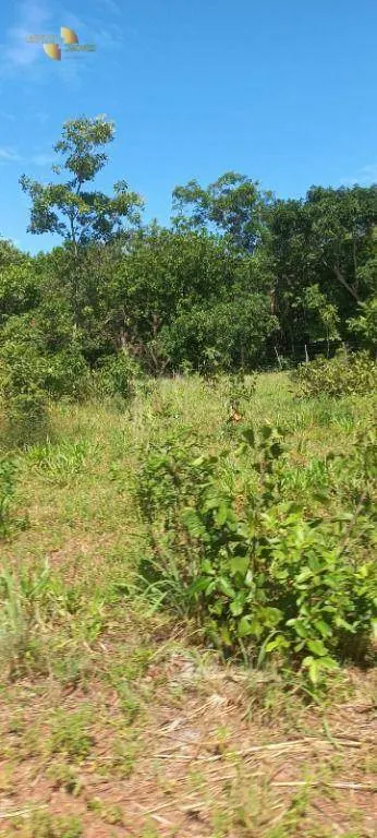 Fazenda à venda de 2.266 ha em Jangada, MT, Brasil