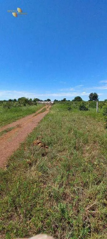 Fazenda à venda de 2.266 ha em Jangada, MT, Brasil