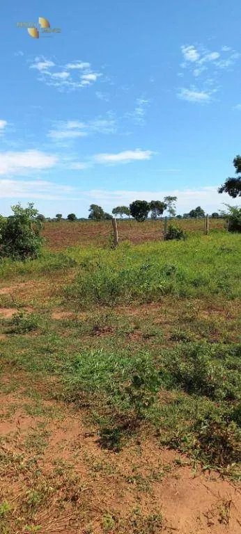 Fazenda à venda de 2.266 ha em Jangada, MT, Brasil