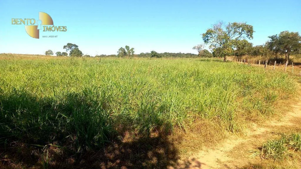 Fazenda à venda de 2.266 ha em Jangada, MT, Brasil