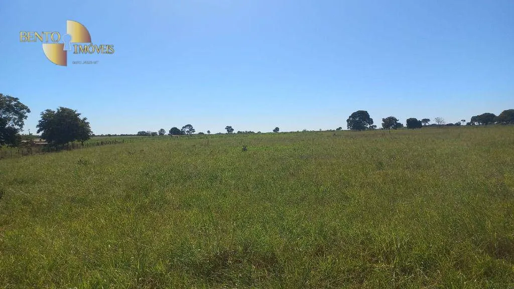 Fazenda à venda de 2.266 ha em Jangada, MT, Brasil