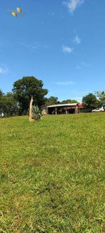Fazenda à venda de 2.266 ha em Jangada, MT, Brasil