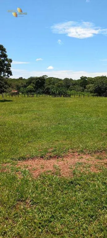 Fazenda à venda de 2.266 ha em Jangada, MT, Brasil