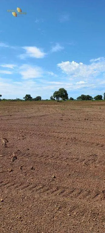 Fazenda à venda de 2.266 ha em Jangada, MT, Brasil