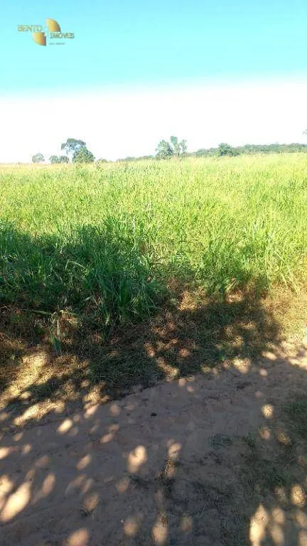 Fazenda à venda de 2.266 ha em Jangada, MT, Brasil