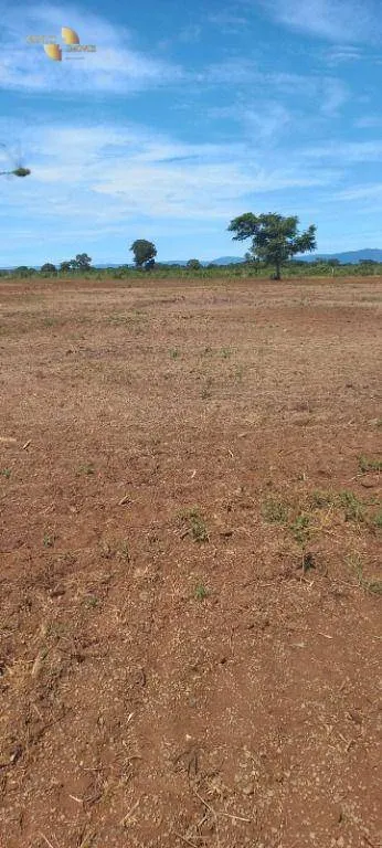 Fazenda à venda de 2.266 ha em Jangada, MT, Brasil