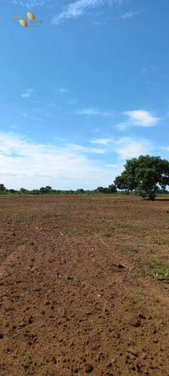 Fazenda à venda de 2.266 ha em Jangada, MT, Brasil