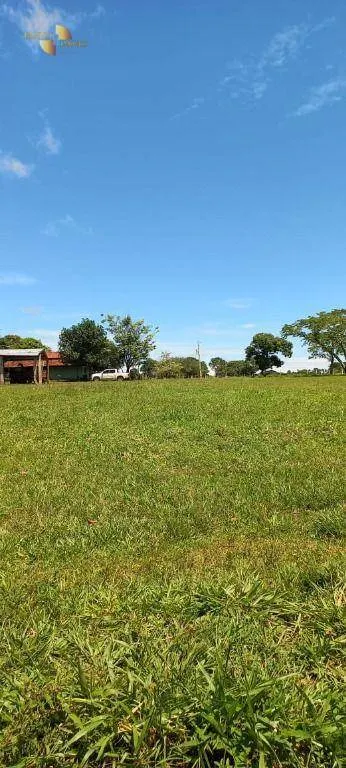 Fazenda à venda de 2.266 ha em Jangada, MT, Brasil