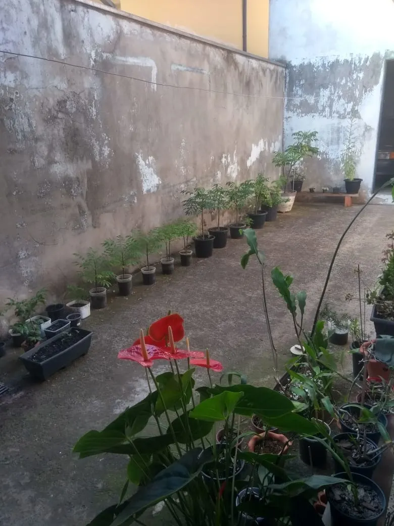 House for sale of 324 m² in Sumaré, SP, Brazil