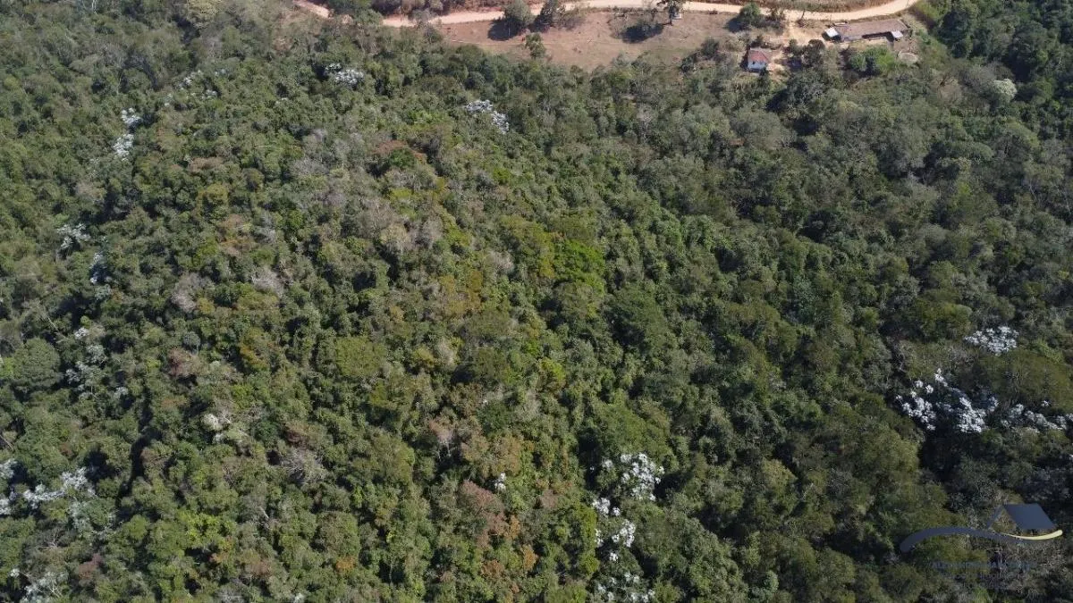 Fazenda à venda de 73 ha em Santa Branca, SP, Brasil