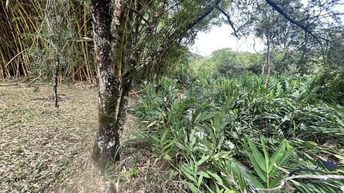 Fazenda à venda de 73 ha em Santa Branca, SP, Brasil