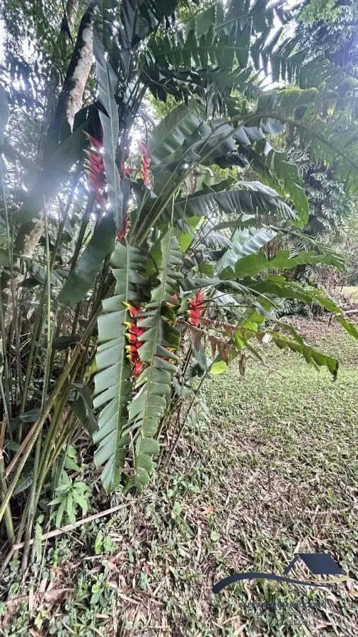 Fazenda à venda de 73 ha em Santa Branca, SP, Brasil