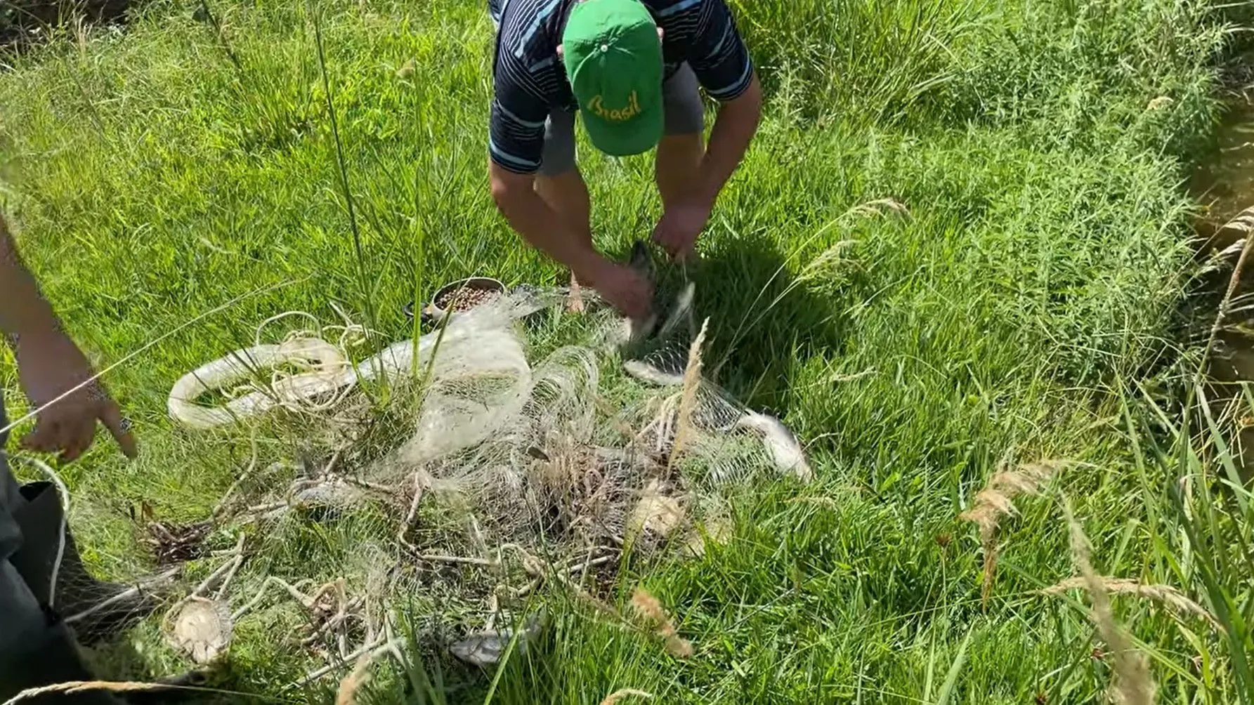 Chácara à venda de 1.300 m² em Glorinha, RS, Brasil