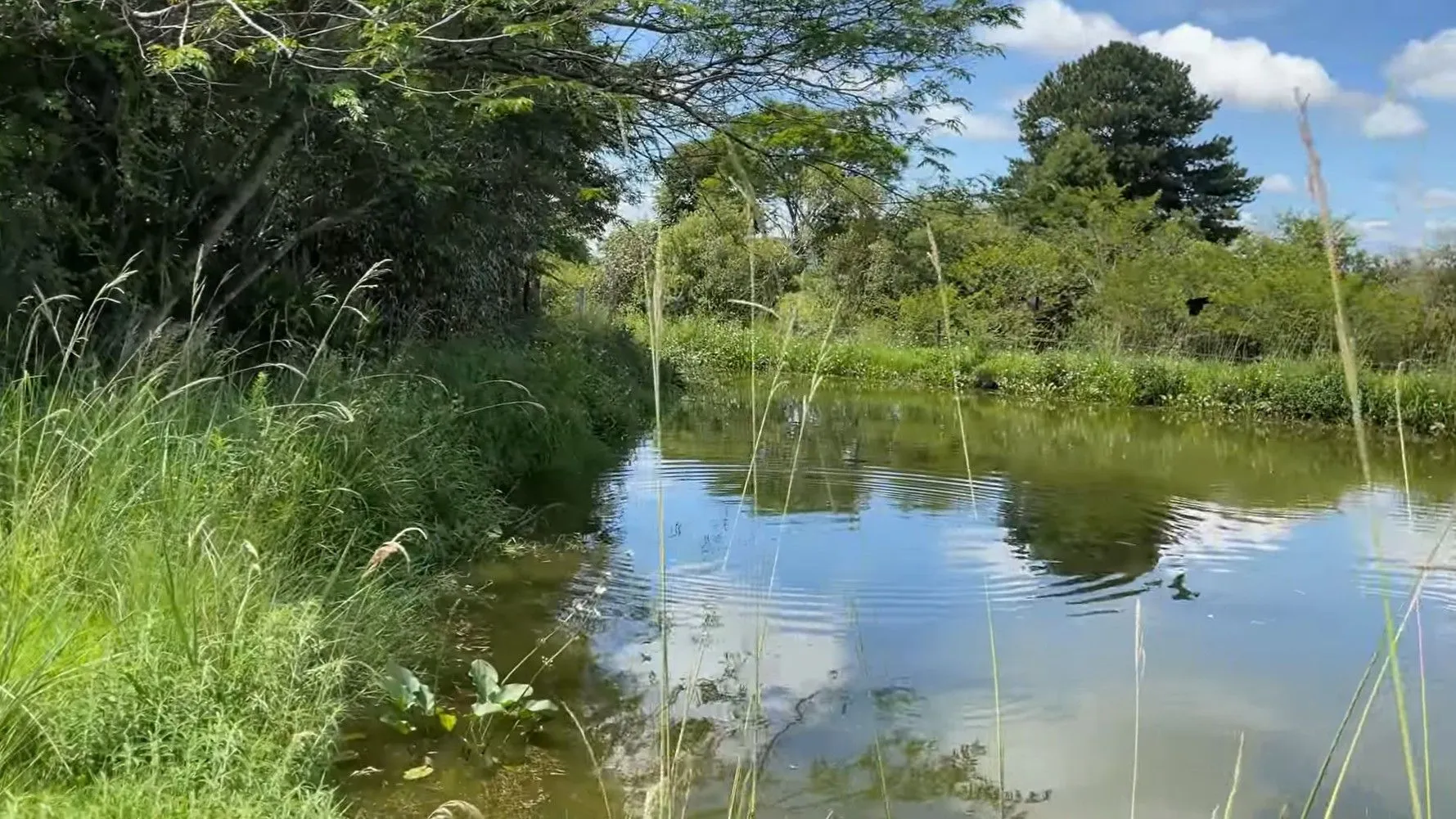 Chácara à venda de 1.300 m² em Glorinha, RS, Brasil