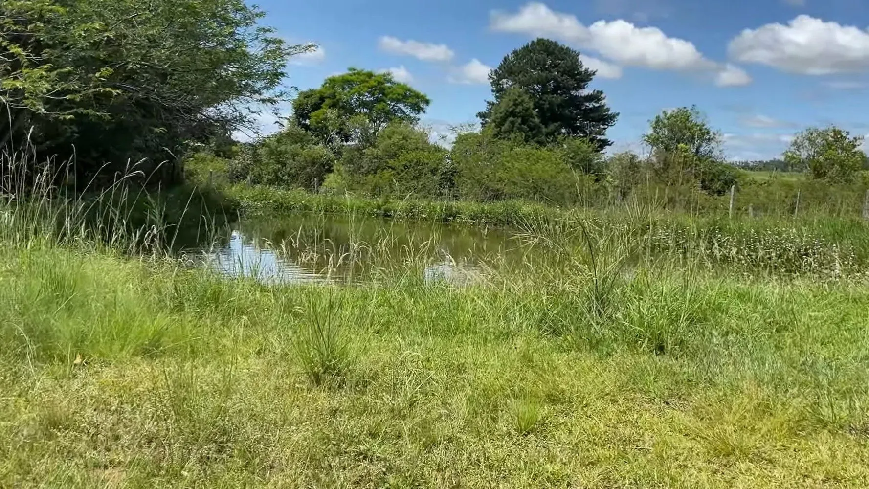 Chácara à venda de 1.300 m² em Glorinha, RS, Brasil
