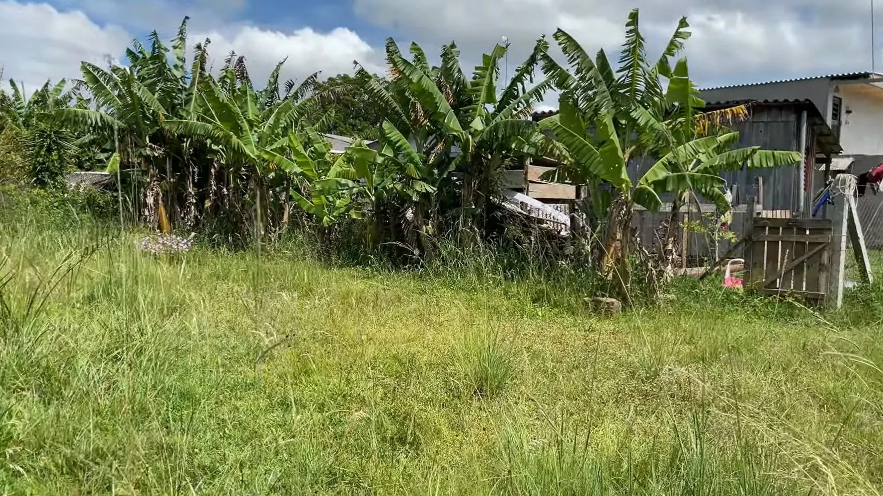 Chácara à venda de 1.300 m² em Glorinha, RS, Brasil