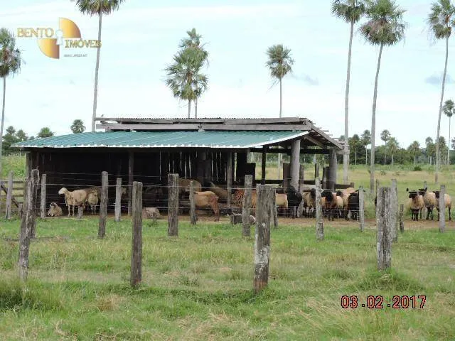 Fazenda à venda de 6.200 ha em Porto Murtinho, MS, Brasil