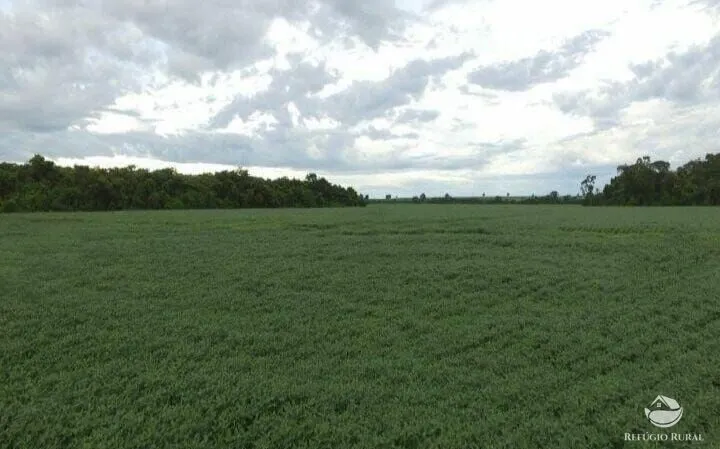 Fazenda à venda de 8.000 ha em Sinop, MT, Brasil