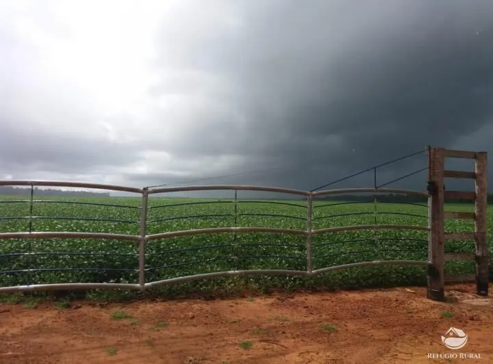 Fazenda à venda de 8.000 ha em Sinop, MT, Brasil