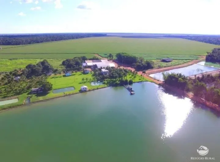 Fazenda à venda de 8.000 ha em Sinop, MT, Brasil