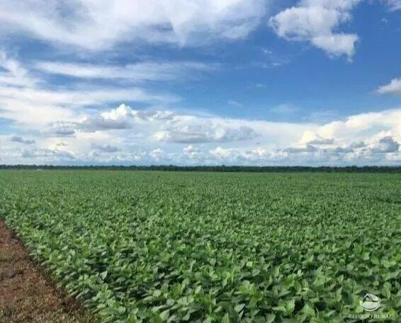 Fazenda à venda de 8.000 ha em Sinop, MT, Brasil