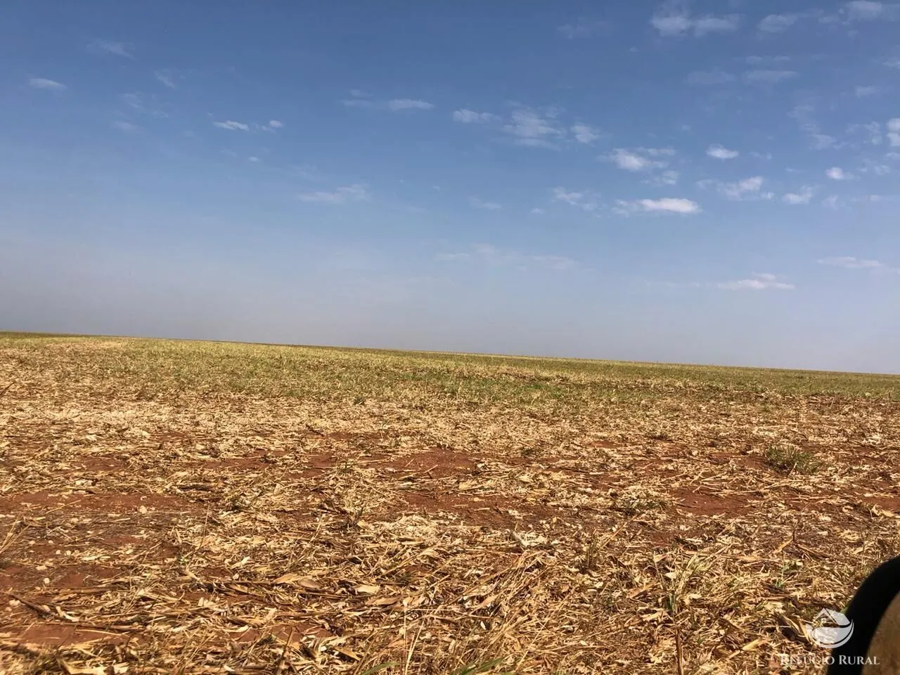 Fazenda à venda de 8.000 ha em Sinop, MT, Brasil