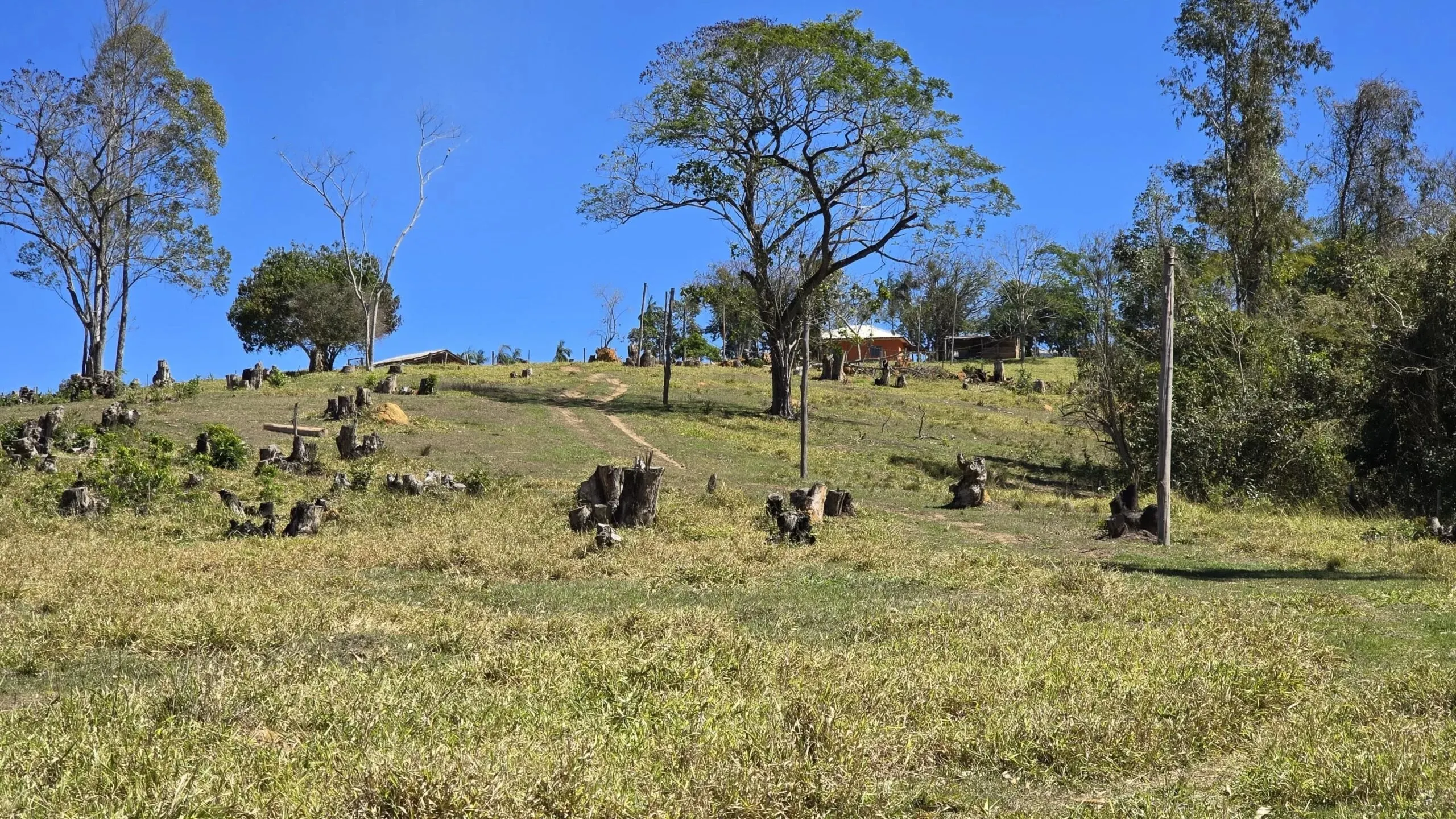 Sítio à venda de 27 ha em Japira, PR, Brasil