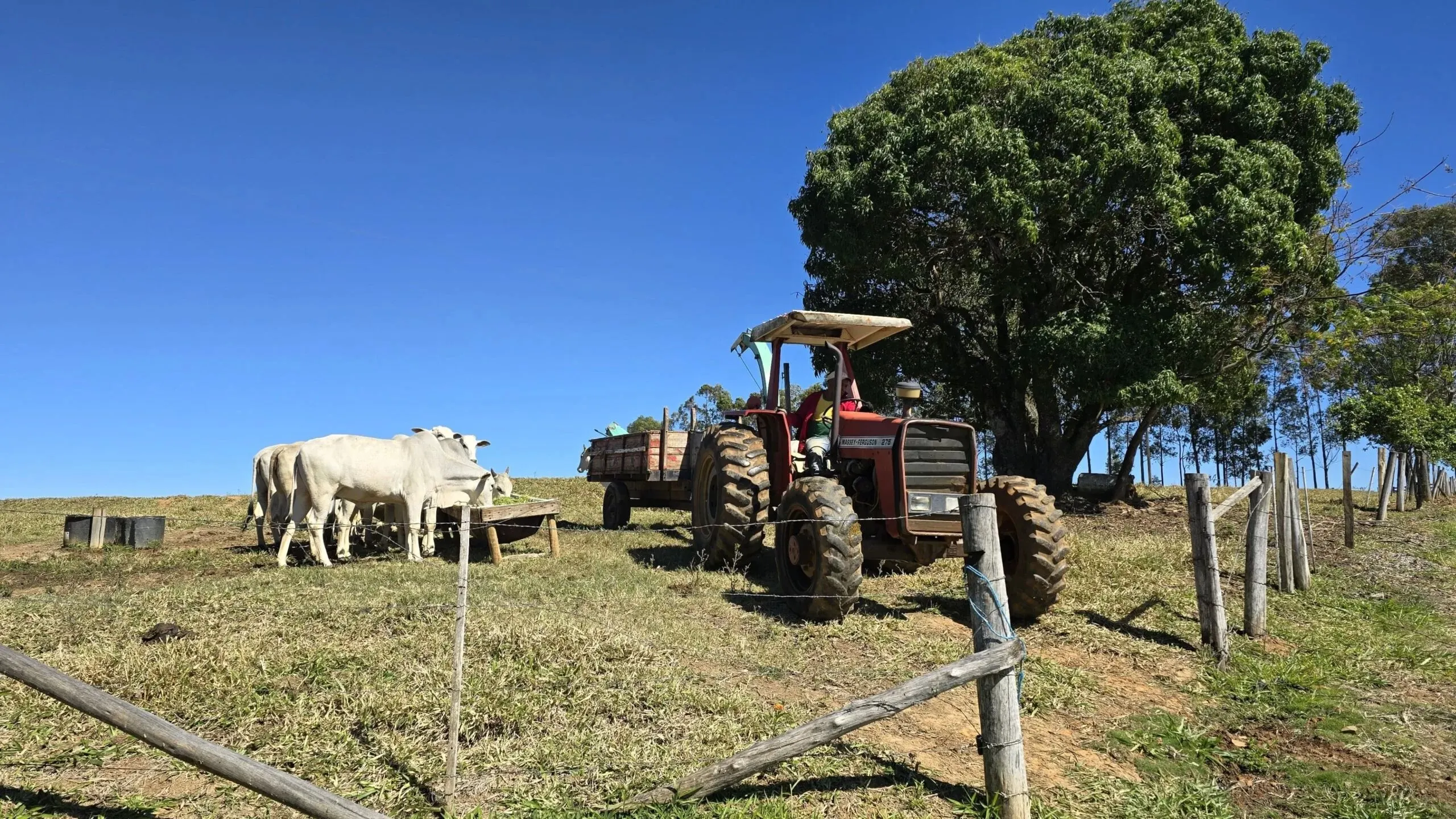Sítio à venda de 27 ha em Japira, PR, Brasil