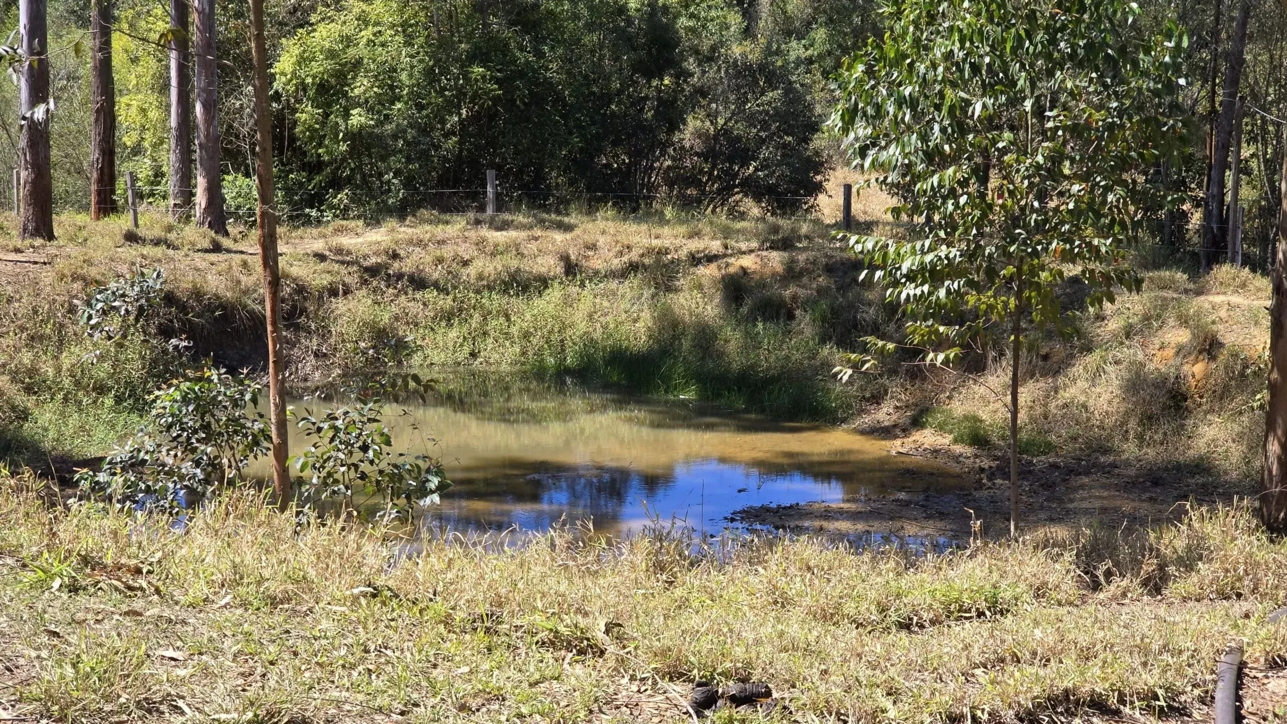Sítio à venda de 27 ha em Japira, PR, Brasil