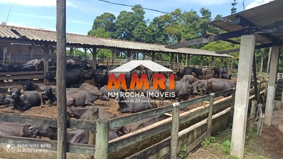 Fazenda à venda de 56 ha em Pilar do Sul, SP, Brasil