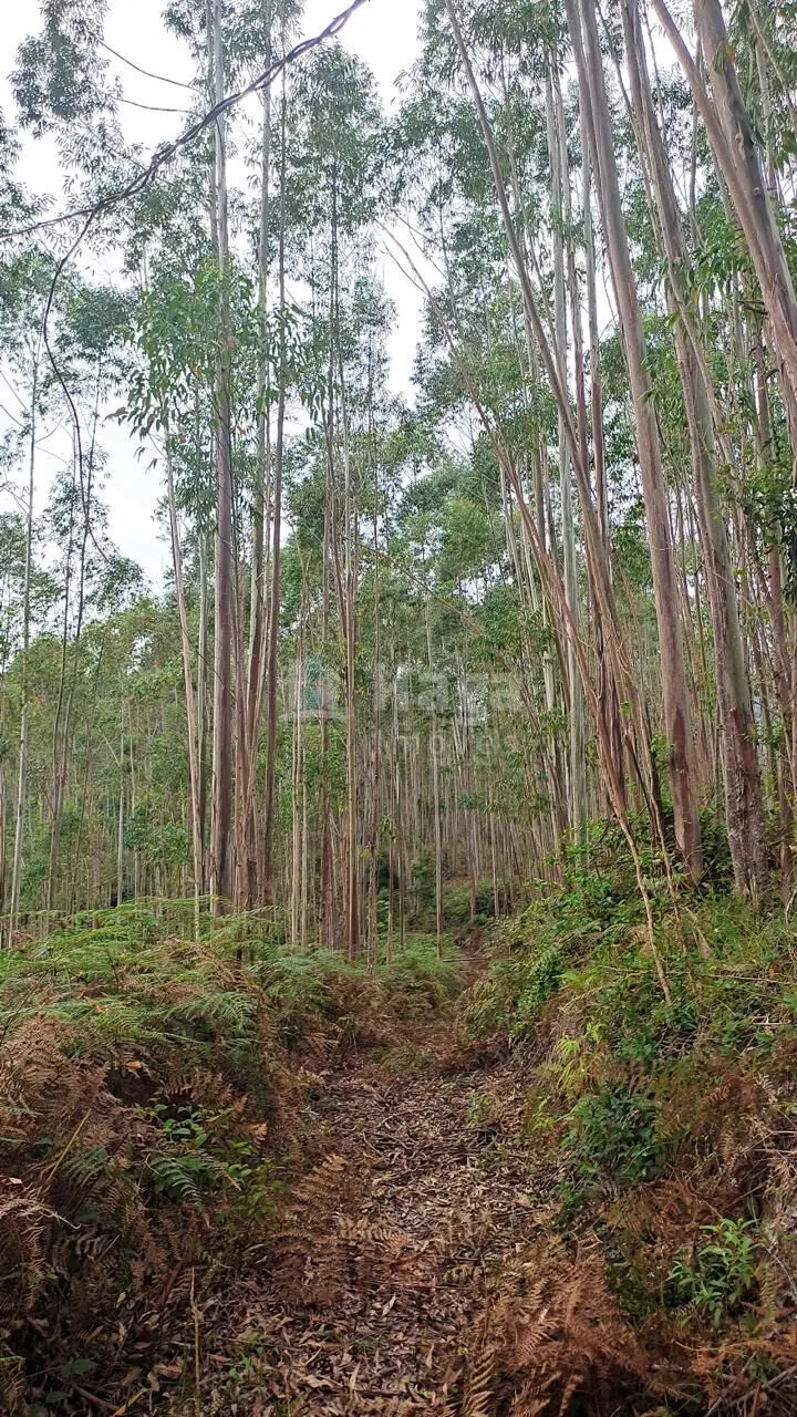 Country home for sale of 16 acres in São João Batista, SC, Brazil