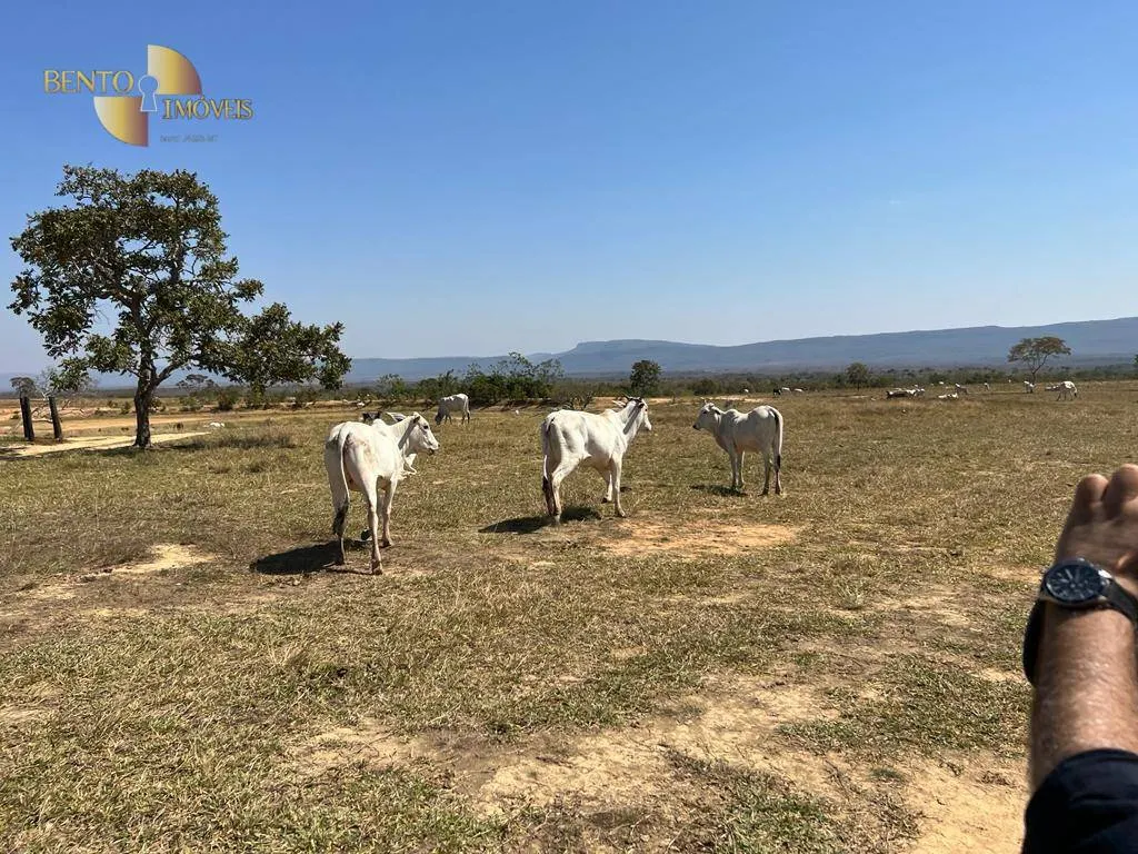 Fazenda à venda de 3.592 ha em Rosário Oeste, MT, Brasil