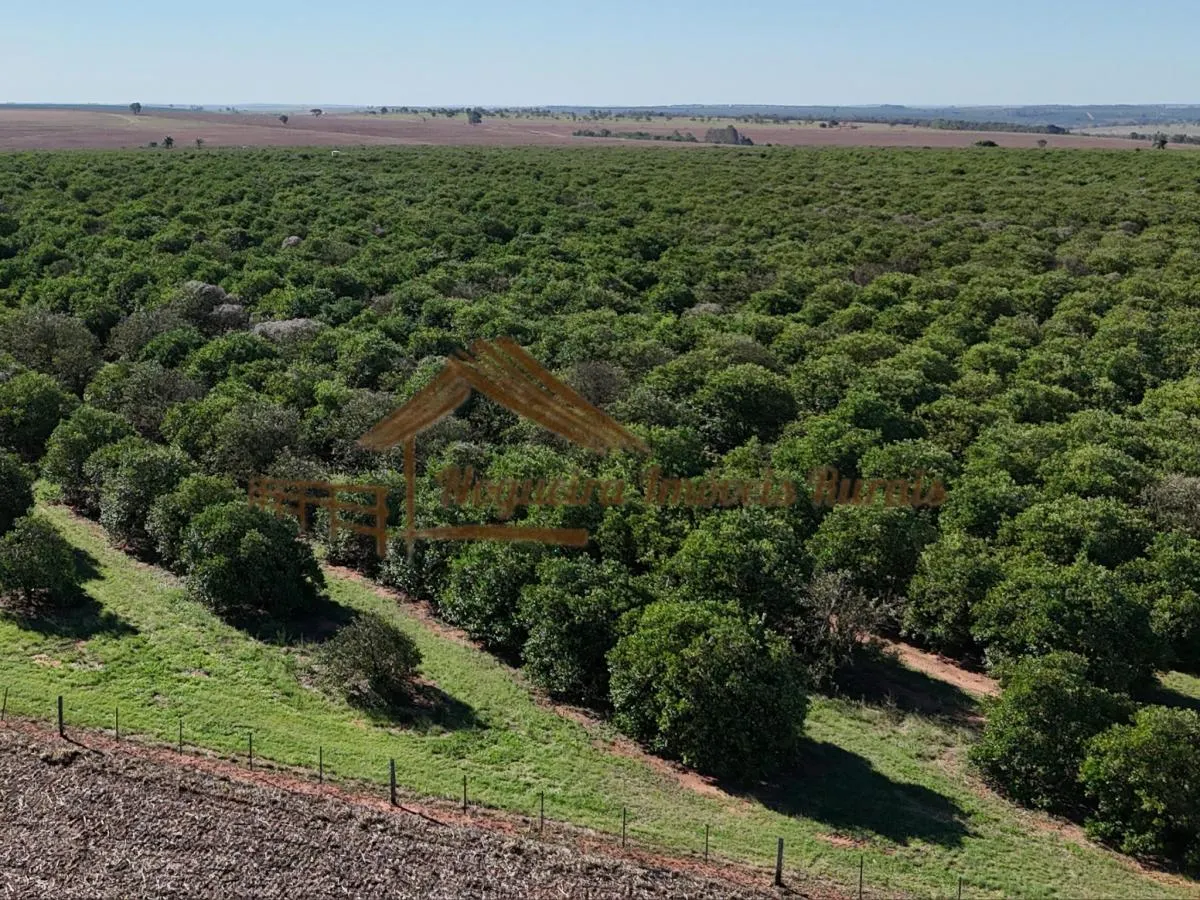 Fazenda à venda de 79 ha em Avaré, SP, Brasil