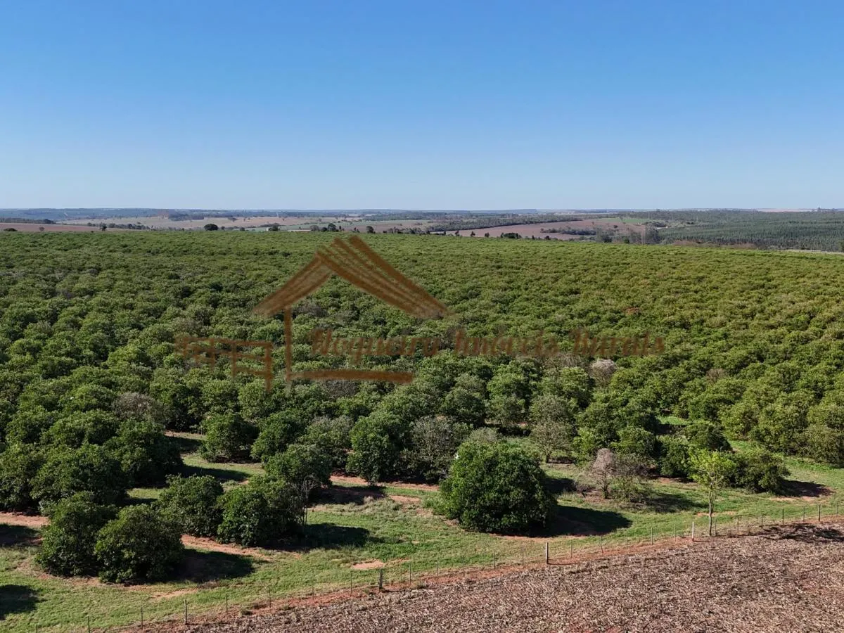 Fazenda à venda de 79 ha em Avaré, SP, Brasil