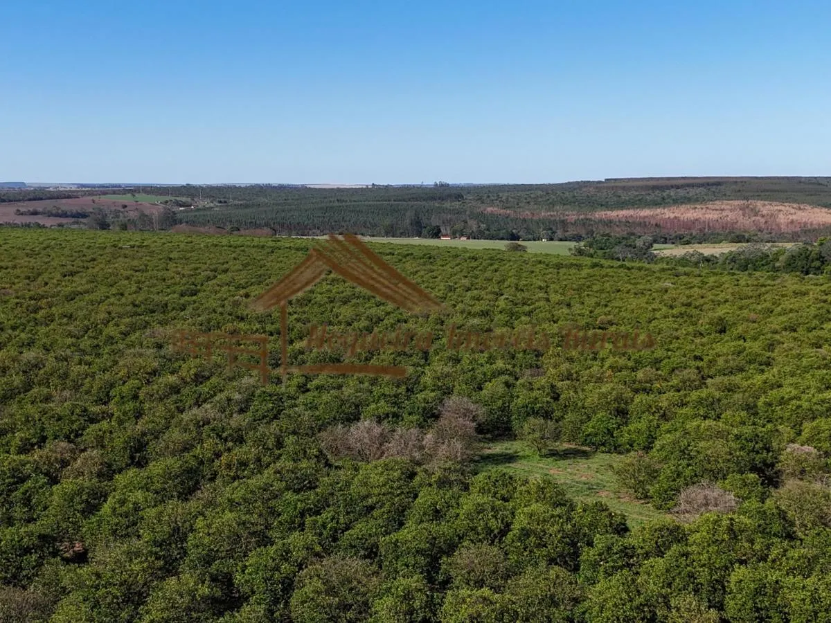 Fazenda à venda de 79 ha em Avaré, SP, Brasil