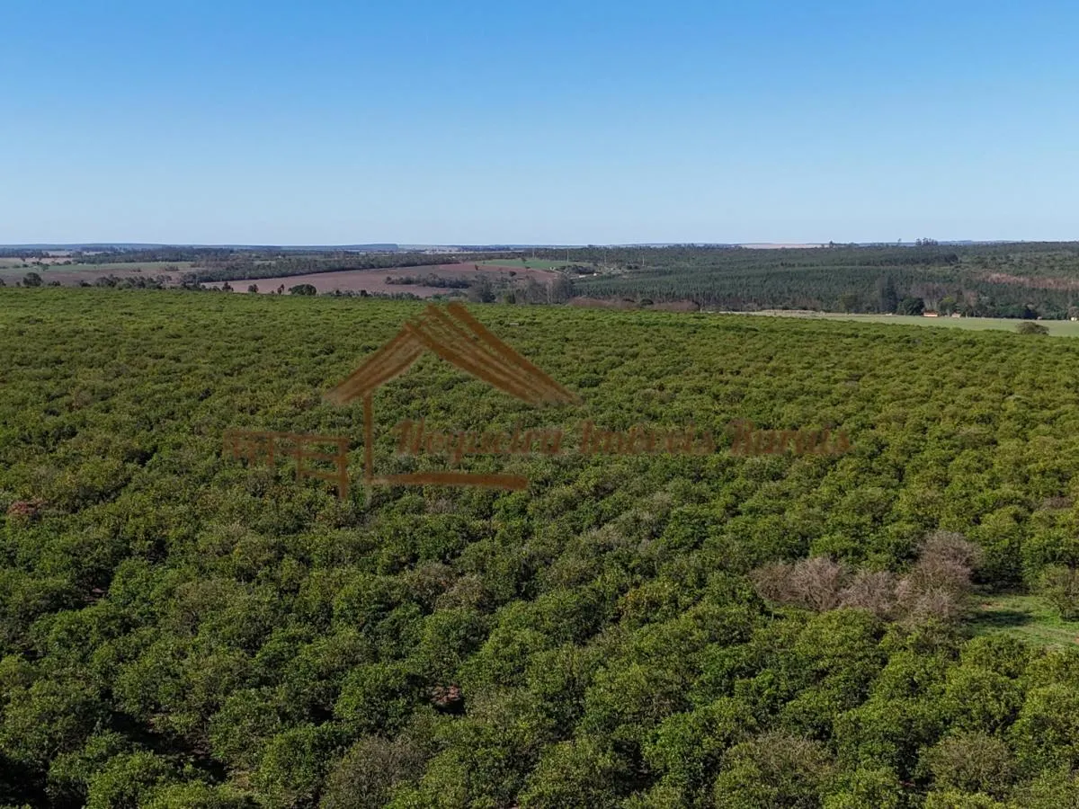 Fazenda à venda de 79 ha em Avaré, SP, Brasil