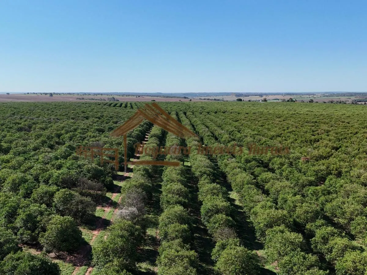 Fazenda à venda de 79 ha em Avaré, SP, Brasil