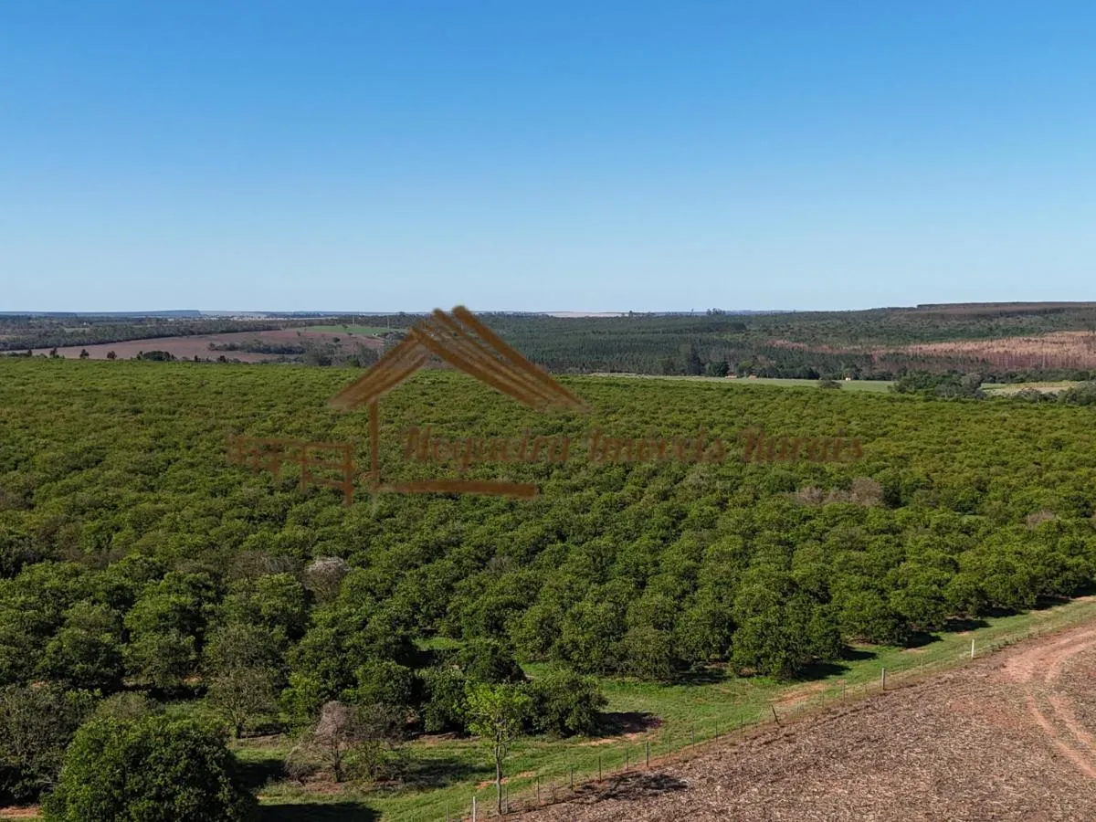 Fazenda à venda de 79 ha em Avaré, SP, Brasil