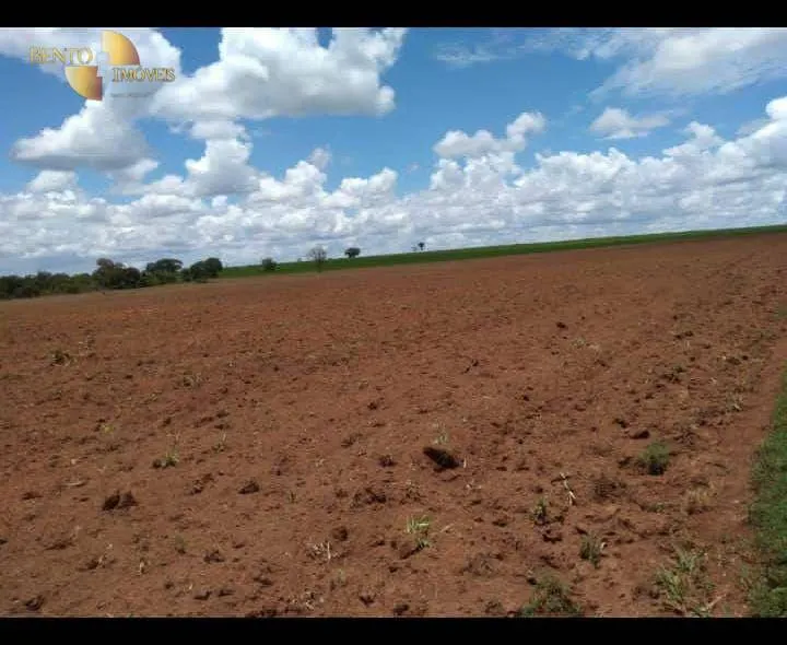 Fazenda à venda de 2.711 ha em Água Boa, MT, Brasil