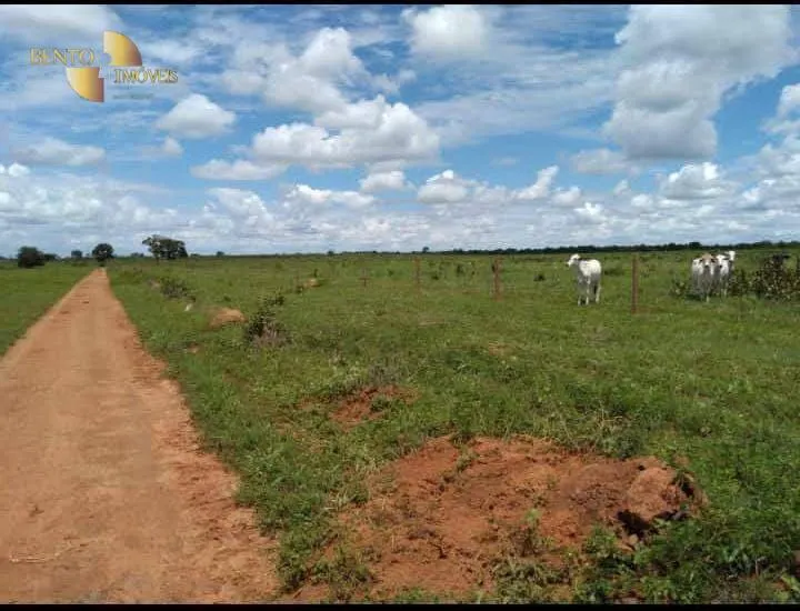 Fazenda à venda de 2.711 ha em Água Boa, MT, Brasil