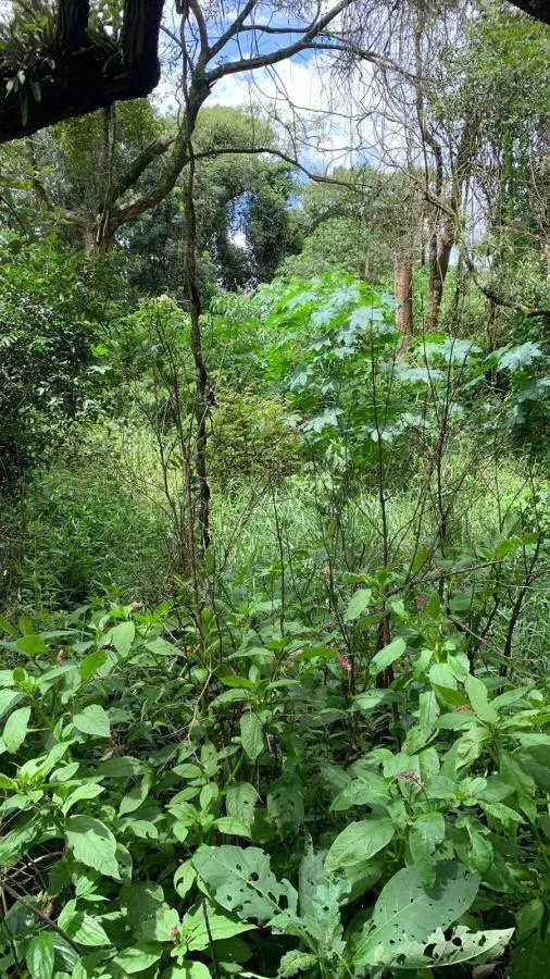 Plot for sale of 6 acres in Mairinque, SP, Brazil