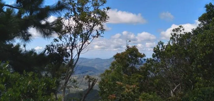 Chácara à venda de 1 ha em Riozinho, RS, Brasil