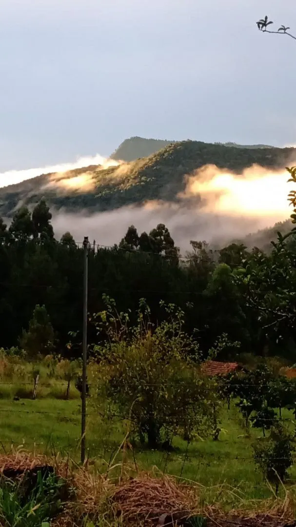 Chácara à venda de 1 ha em Riozinho, RS, Brasil