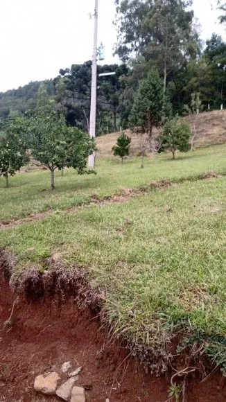 Chácara à venda de 1 ha em Riozinho, RS, Brasil