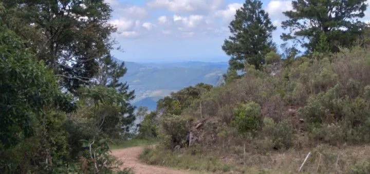 Chácara à venda de 1 ha em Riozinho, RS, Brasil