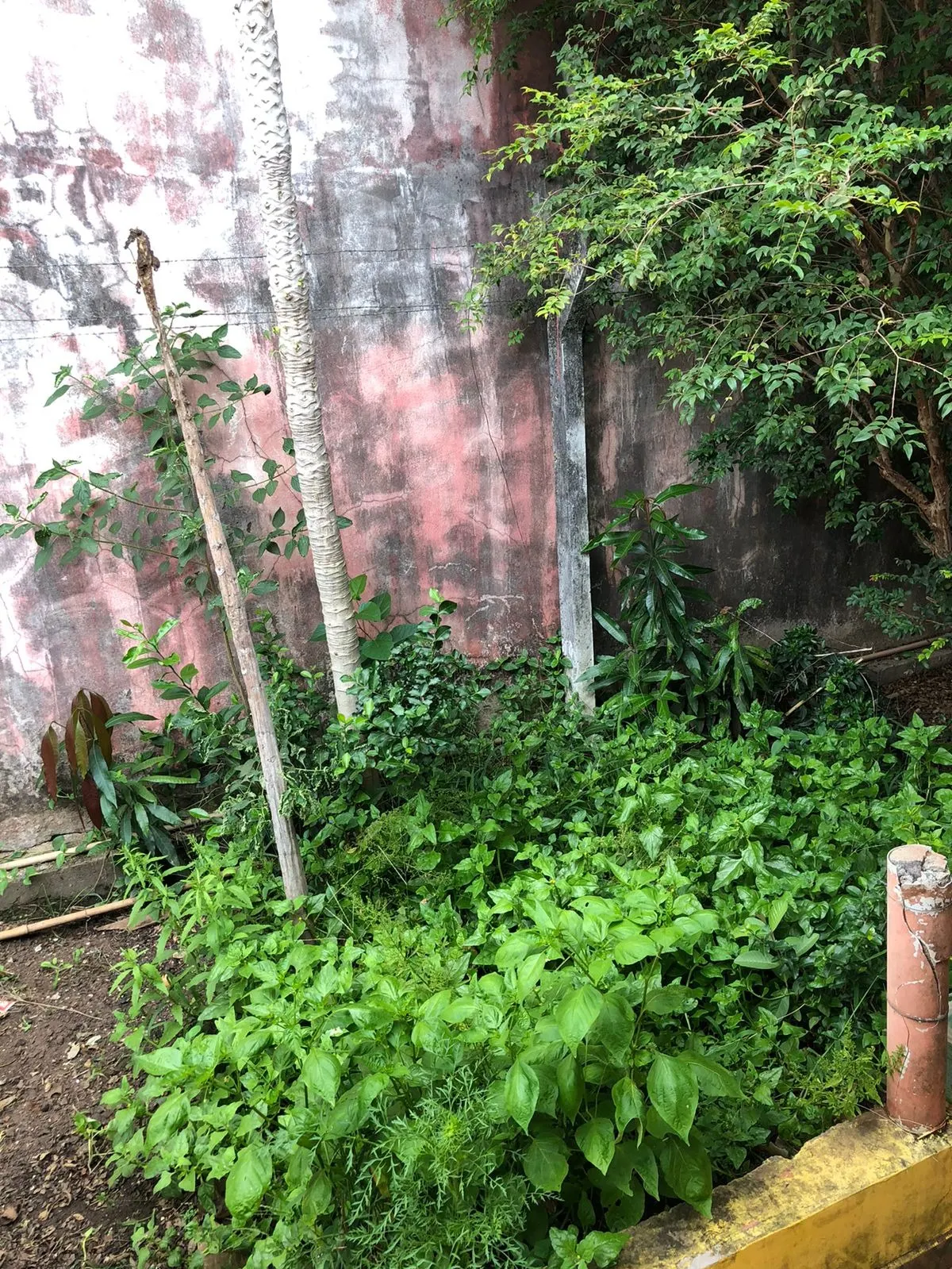 Chácara à venda de 986 m² em Artur Nogueira, SP, Brasil
