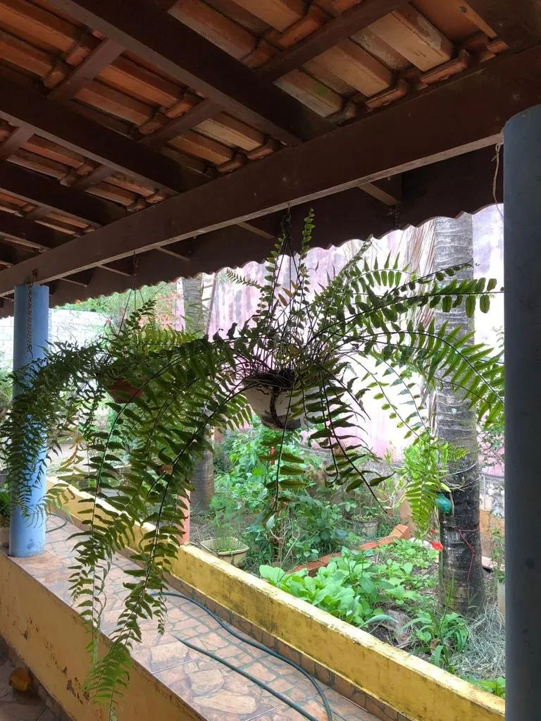Chácara à venda de 986 m² em Artur Nogueira, SP, Brasil