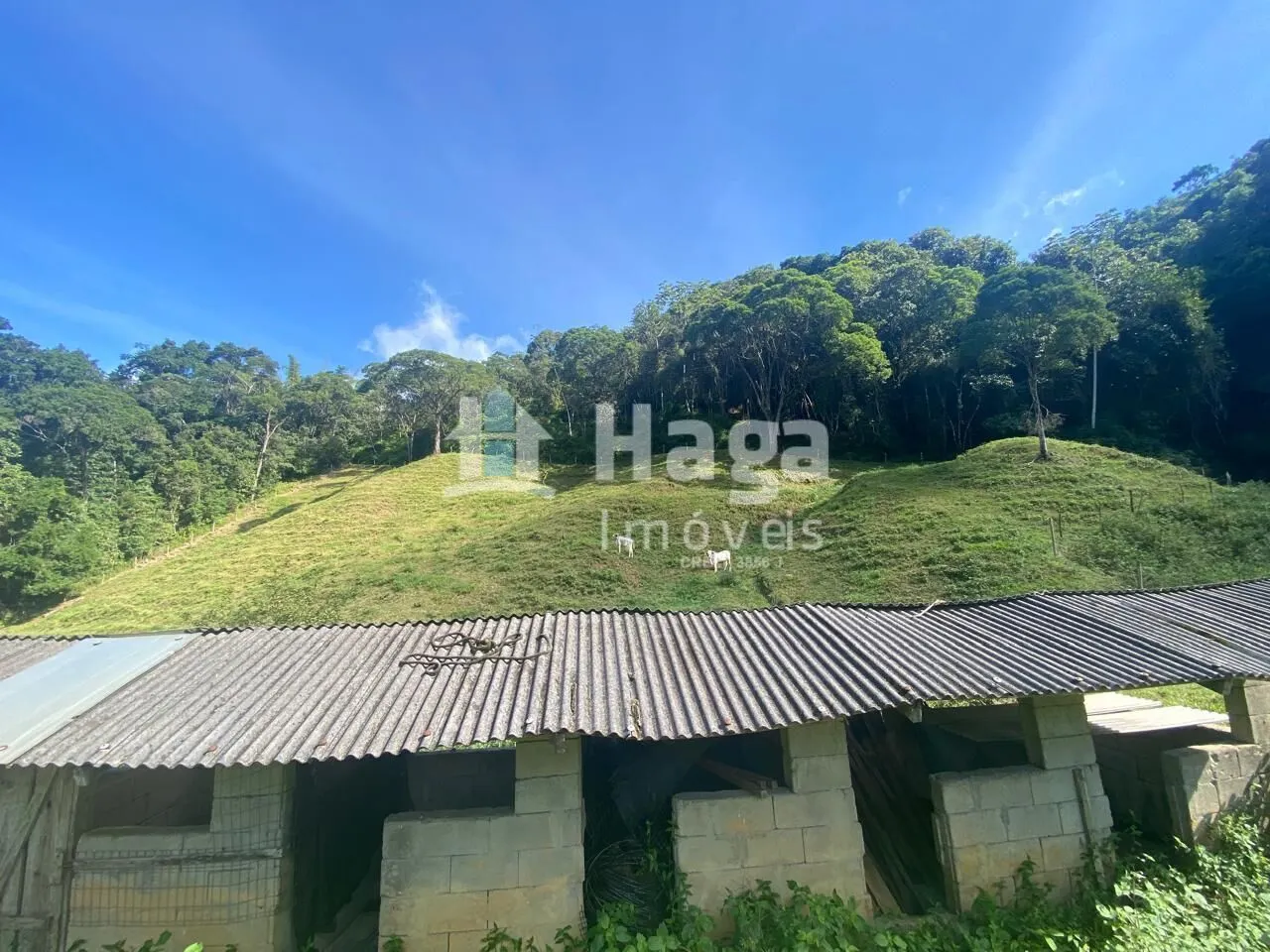 Chácara à venda de 13 ha em Nova Trento, SC, Brasil