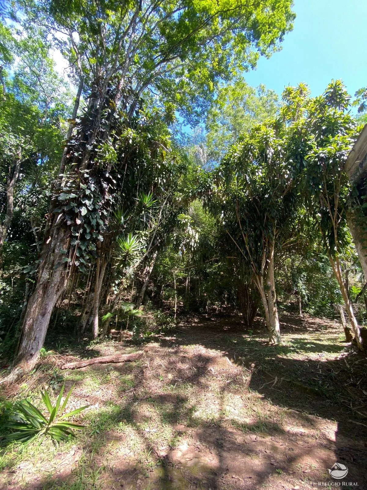 Small farm for sale of 17 acres in Igaratá, SP, Brazil