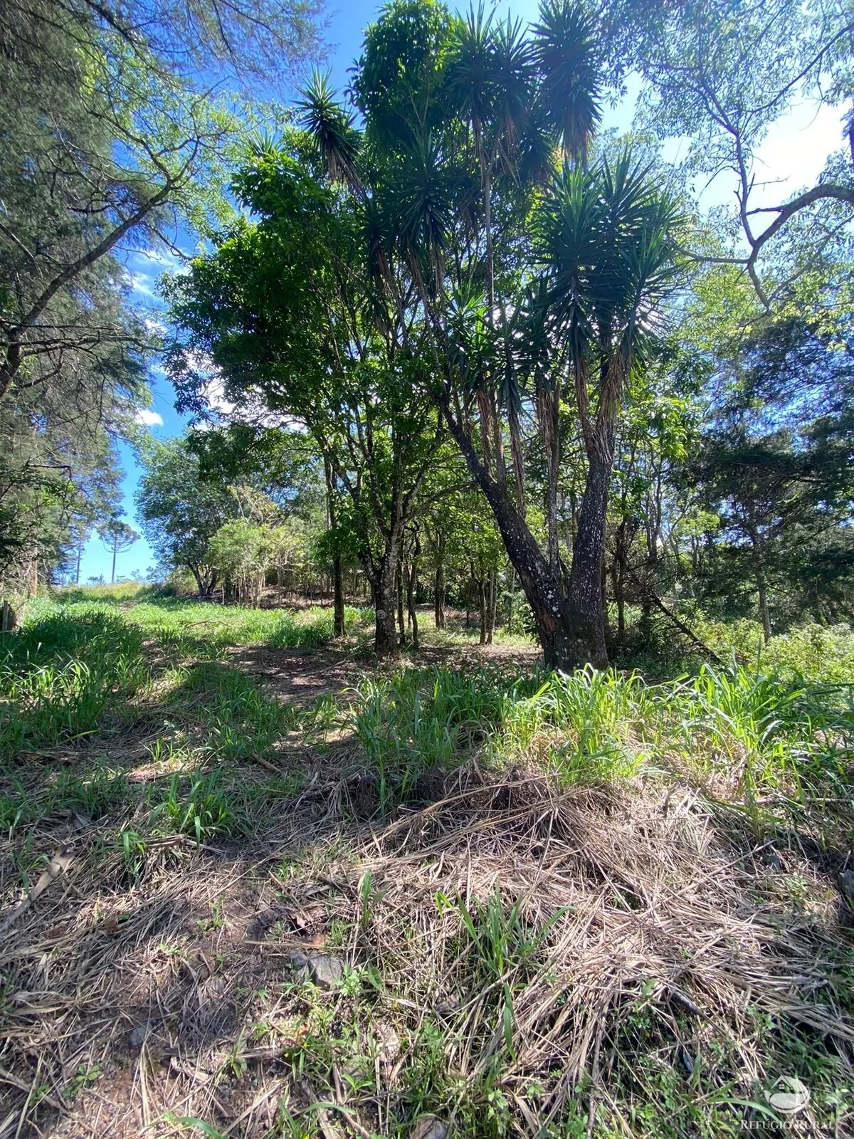 Sítio à venda de 7 ha em Igaratá, SP, Brasil